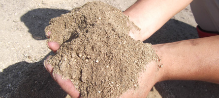 篩い真砂土